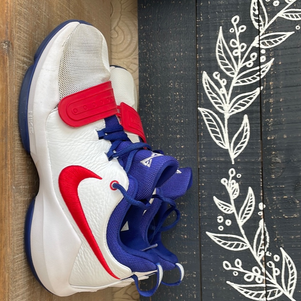 PG 1 (Gs)